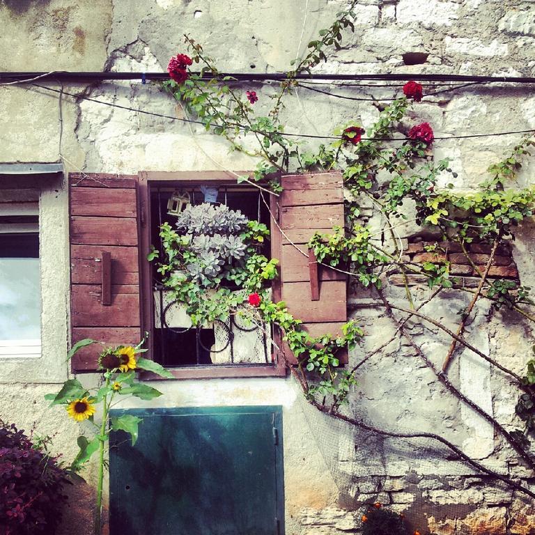 Villa Segalla Rovinj Kültér fotó